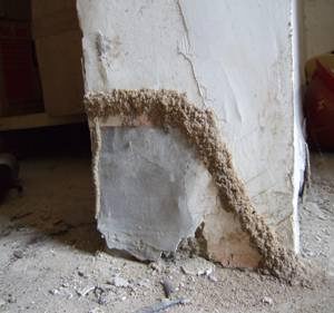“白蚁对楼房的危害”工程案例